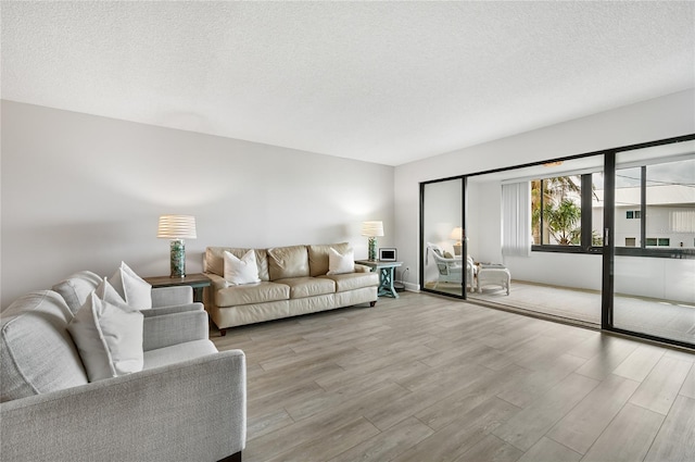 living room featuring a textured ceiling