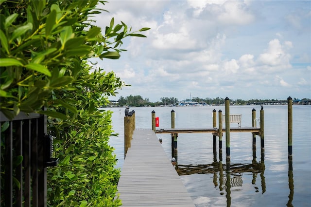 dock area with a water view