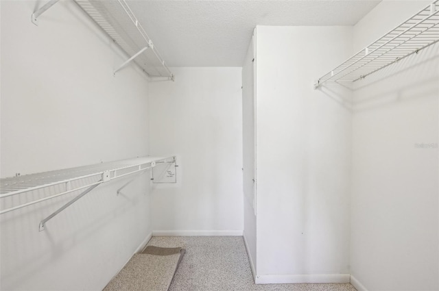 spacious closet with light colored carpet