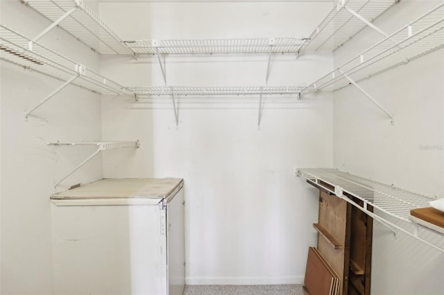 spacious closet featuring carpet floors