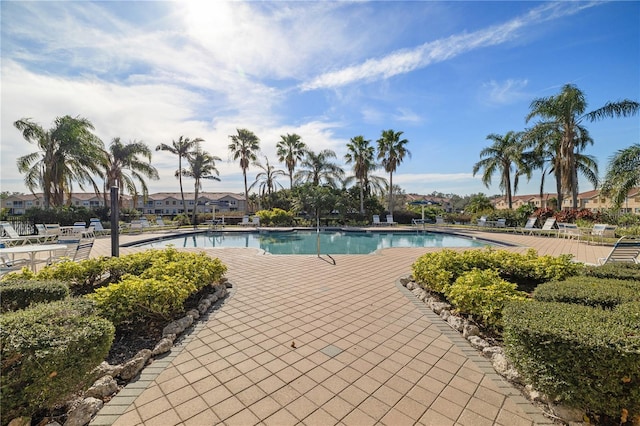 view of pool featuring a patio area