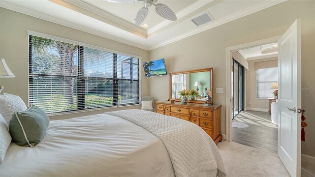 carpeted bedroom featuring ceiling fan, a raised ceiling, ornamental molding, and multiple windows