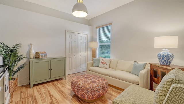 living room with light hardwood / wood-style flooring