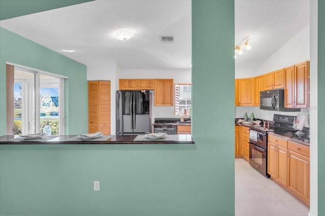 kitchen with kitchen peninsula, a wealth of natural light, lofted ceiling, and black appliances