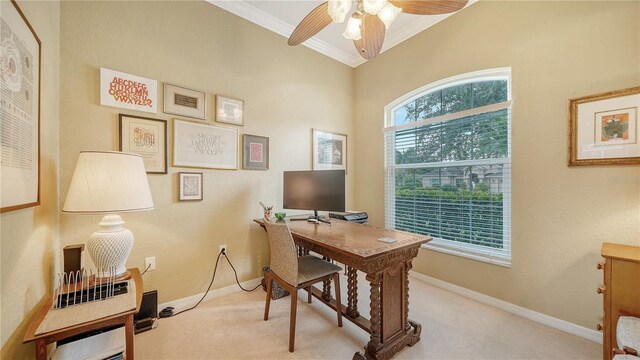 carpeted office featuring ceiling fan and ornamental molding