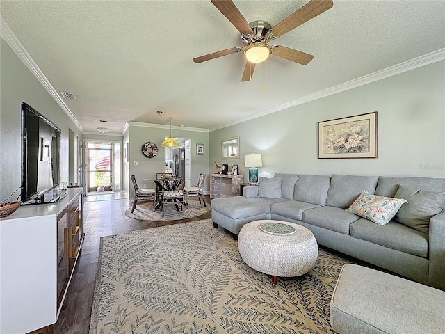 living room with a textured ceiling, crown molding, and dark wood-type flooring