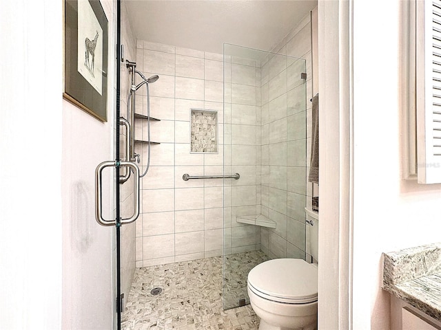 bathroom featuring vanity, a shower with shower door, and toilet