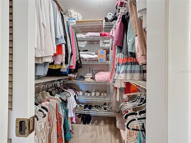 walk in closet with carpet floors