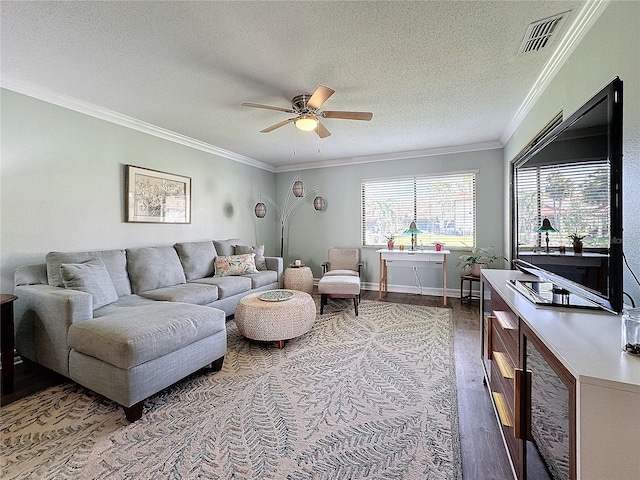 living room with hardwood / wood-style floors, ceiling fan, ornamental molding, and a textured ceiling