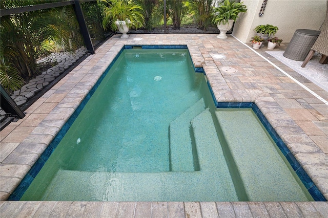 view of swimming pool with a lanai