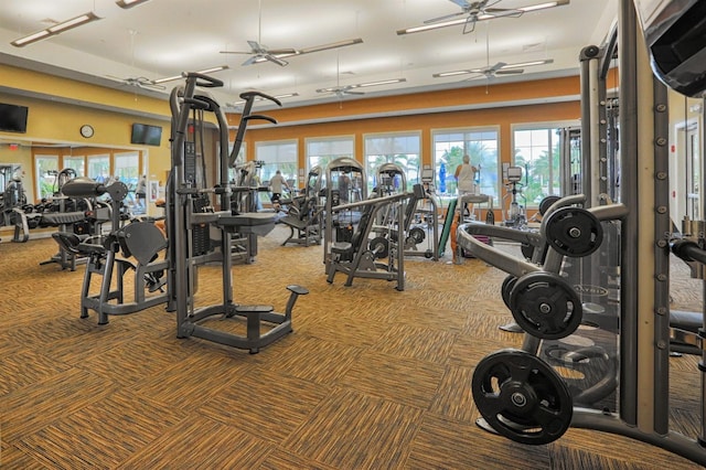 exercise room with carpet floors