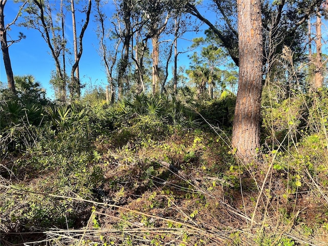 LOT5 Gravelmann Rd Lot 5, North Port, FL 34291 - photo 1