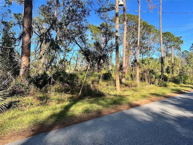 LOT5 Gravelmann Rd Lot 5, North Port, FL 34291 - photo 4
