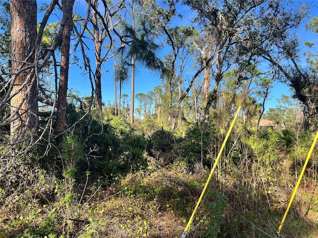 LOT5 Gravelmann Rd Lot 5, North Port, FL 34291 - photo 5