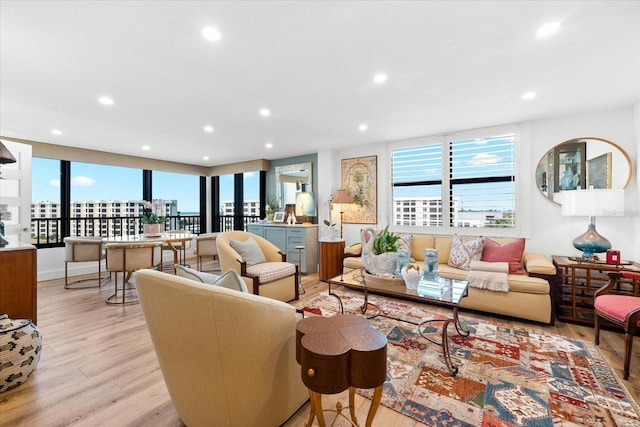 living room featuring light hardwood / wood-style flooring