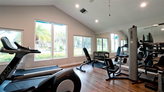 exercise room with ceiling fan, hardwood / wood-style floors, a healthy amount of sunlight, and lofted ceiling