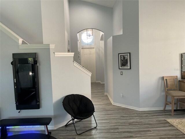 foyer entrance featuring arched walkways, a high ceiling, dark wood-style floors, and baseboards