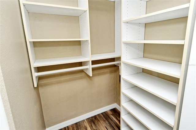 spacious closet featuring dark wood-type flooring