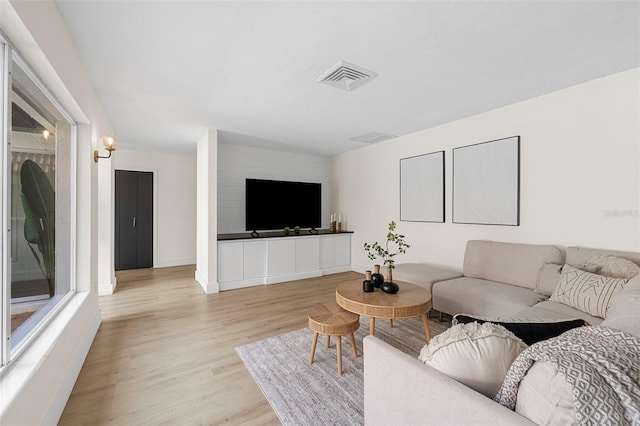 living room featuring light hardwood / wood-style floors