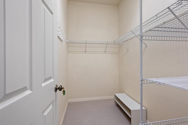 spacious closet with carpet flooring