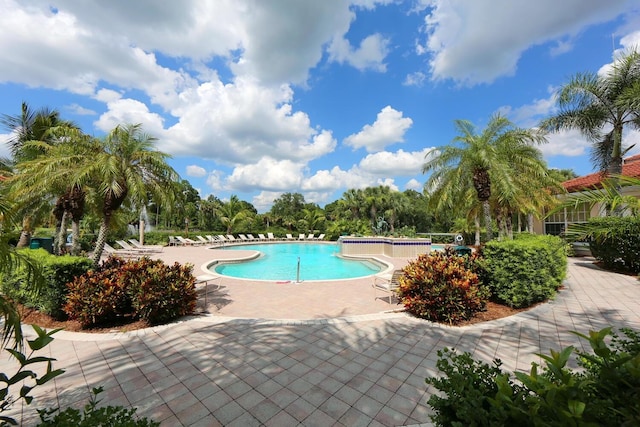 view of swimming pool featuring a patio area