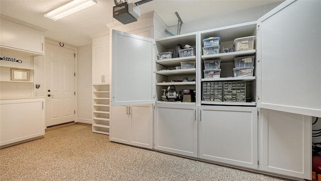 walk in closet with light colored carpet