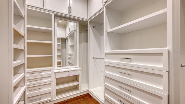 spacious closet with dark wood-type flooring