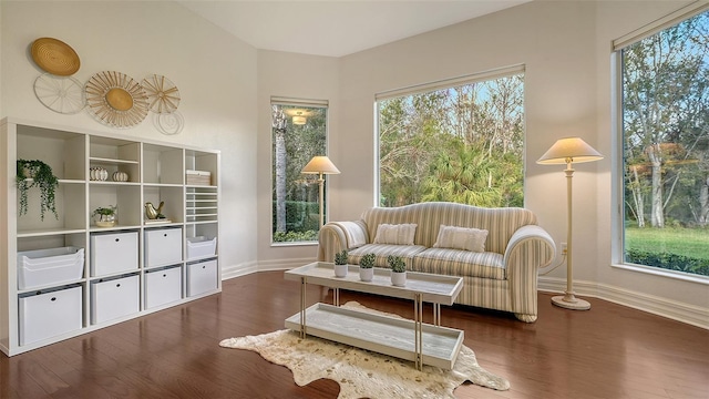 sitting room featuring dark hardwood / wood-style flooring and plenty of natural light