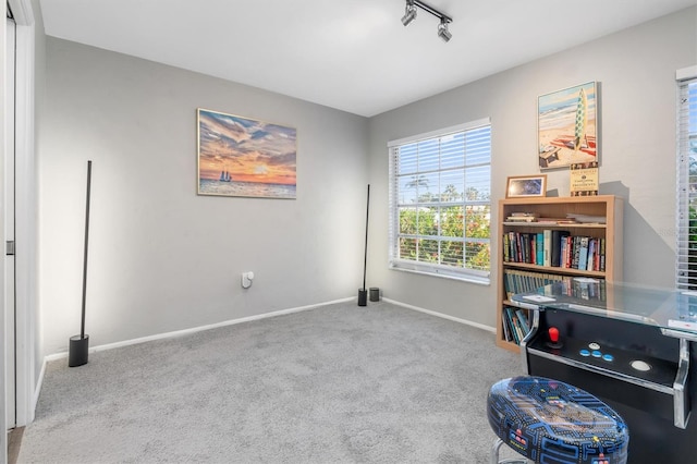 misc room with light carpet and track lighting