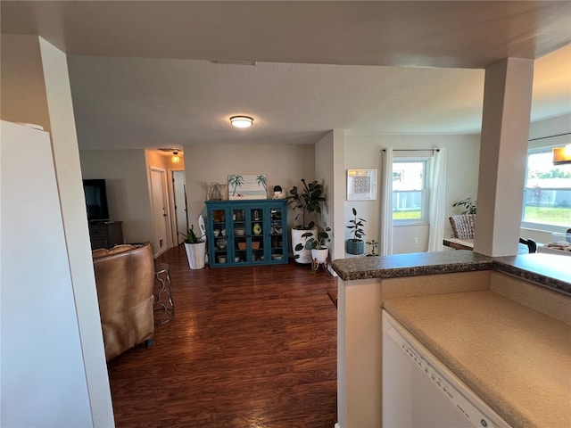 kitchen featuring kitchen peninsula, dark hardwood / wood-style floors, and dishwasher