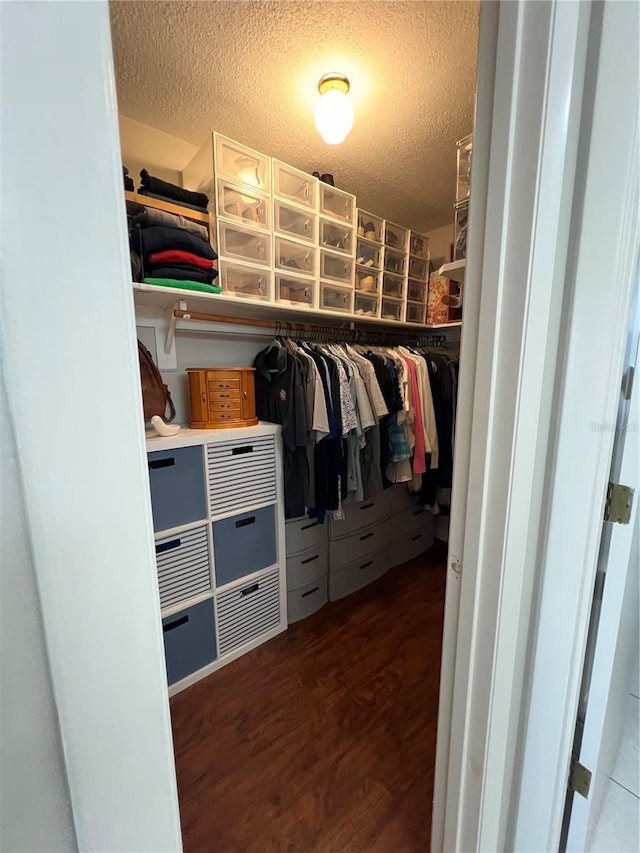 walk in closet featuring dark hardwood / wood-style floors