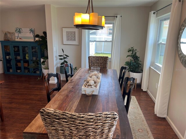 dining space featuring a healthy amount of sunlight and dark hardwood / wood-style floors