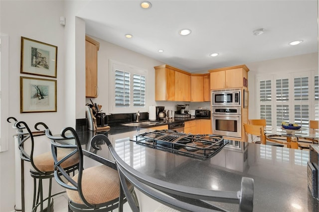 kitchen with light brown cabinets, stainless steel appliances, and sink