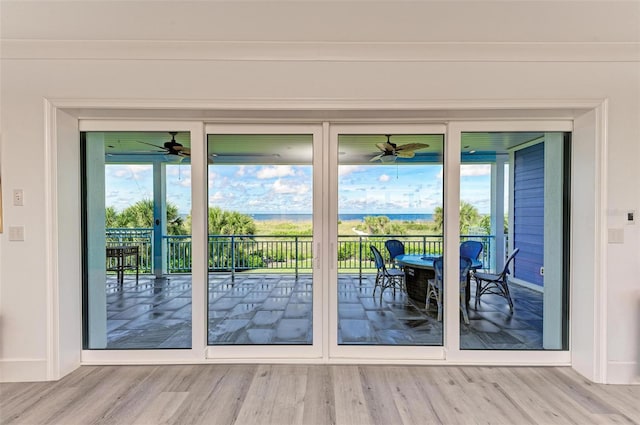 doorway to outside with hardwood / wood-style floors and a wealth of natural light