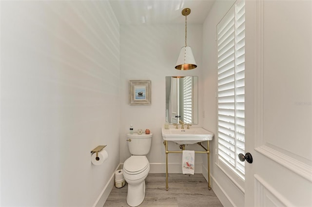 bathroom with toilet and wood-type flooring