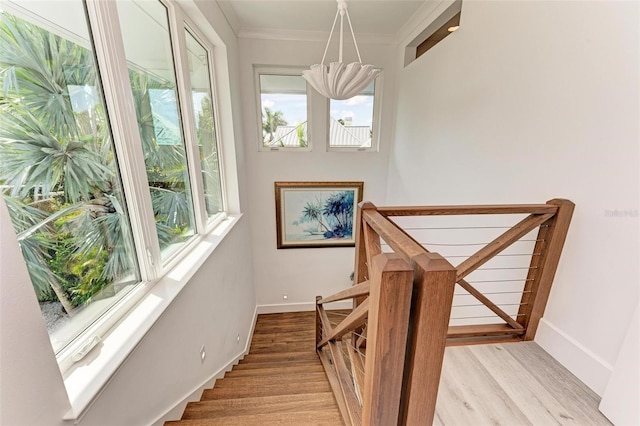 staircase with hardwood / wood-style flooring and crown molding