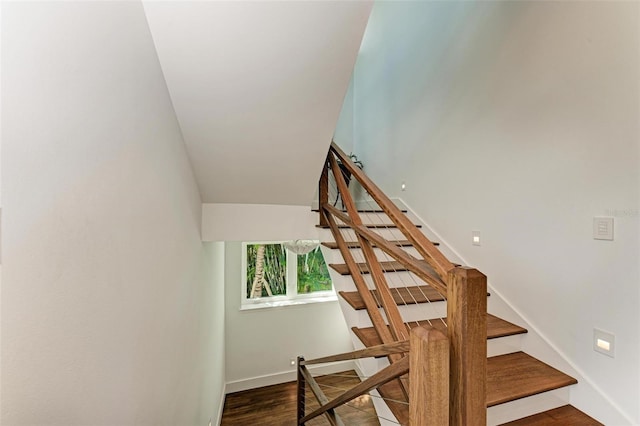 staircase featuring wood-type flooring