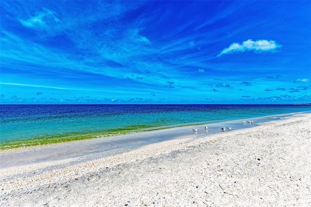 property view of water with a beach view