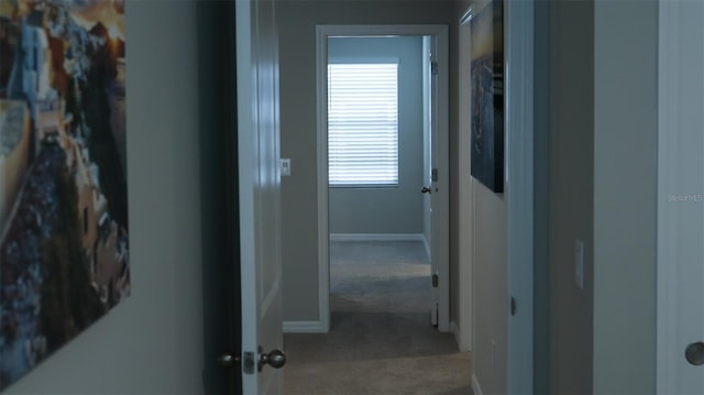 hallway with light colored carpet