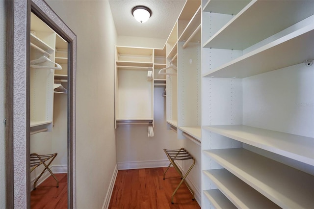 walk in closet featuring wood-type flooring