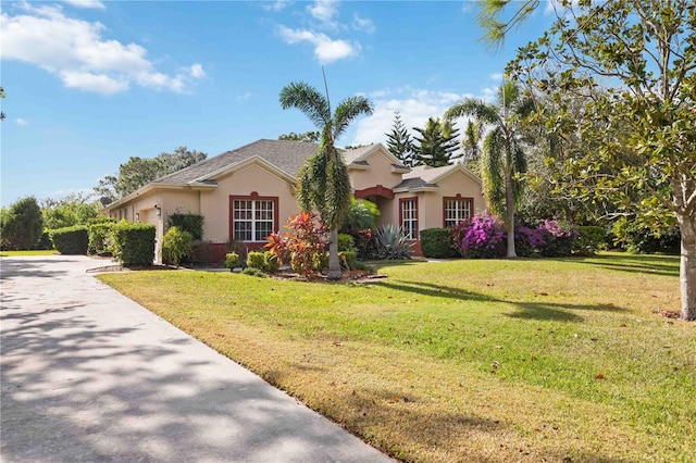 ranch-style home with a front yard