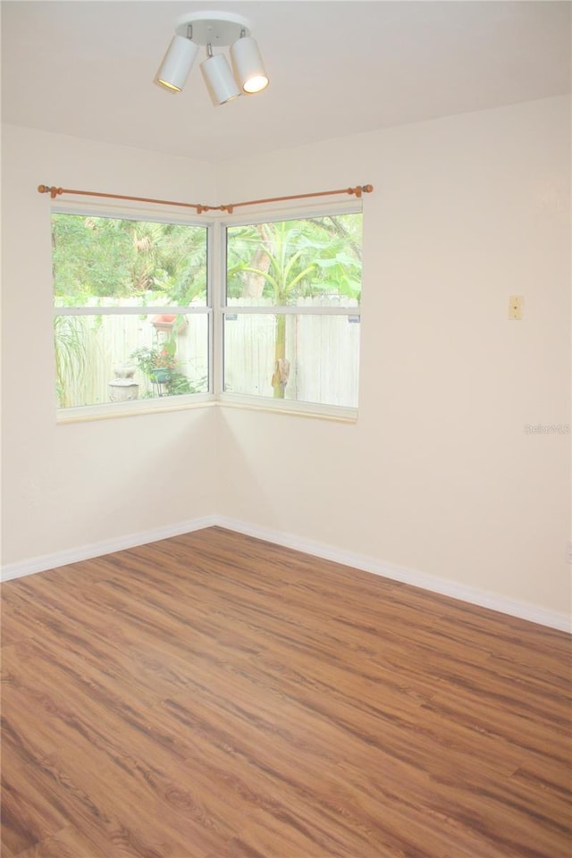 spare room featuring a wealth of natural light and wood-type flooring