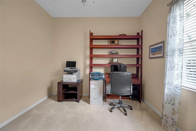 office space with light carpet