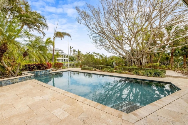 view of pool with a patio area