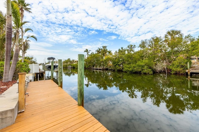 dock area featuring a water view