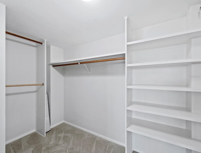 walk in closet featuring light carpet