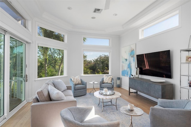 living room featuring a tray ceiling, plenty of natural light, and light wood-type flooring