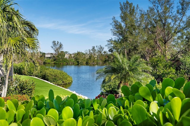 view of water feature