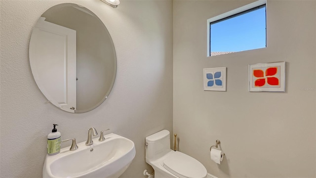 bathroom with sink and toilet