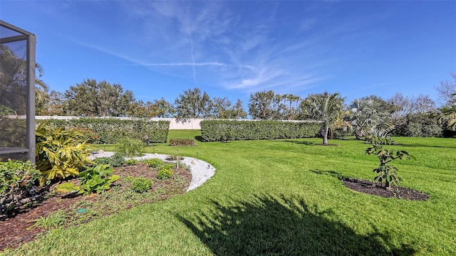 view of yard with a lanai